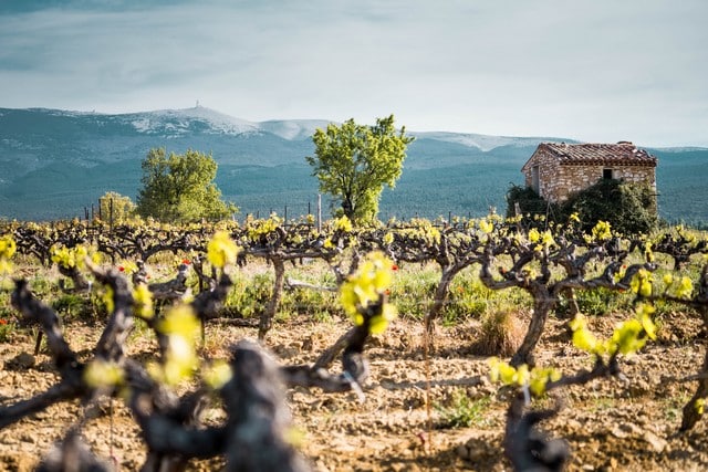 Vivant projet de l'AOC