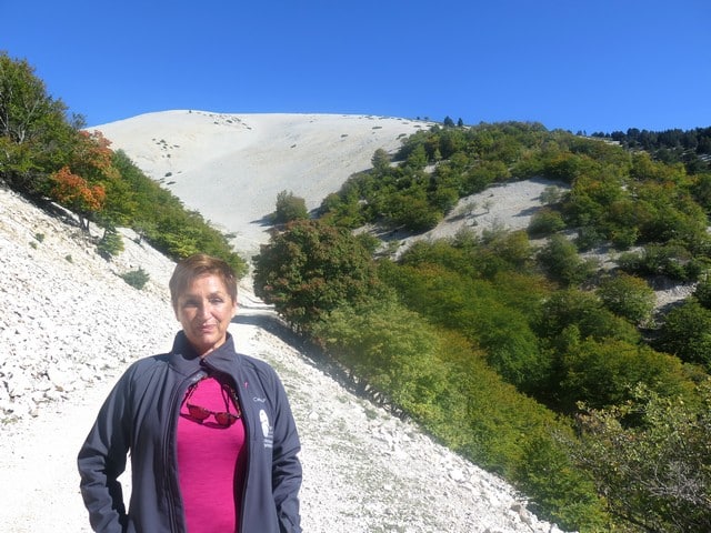 Cailloux et forêts du Ventoux