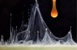 zoom sur une artiste du bien manger
