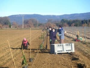 plantation ferme du Rouret