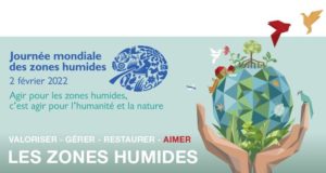 affiche journée mondiale zones humides 2022 Bleu Tomate le mag