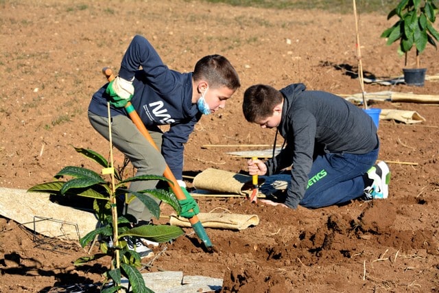 collégiens de Mazan en plein travail