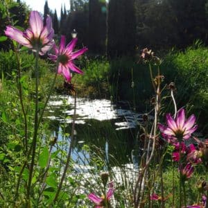 Lauris le grand jardin d'Elisabeth