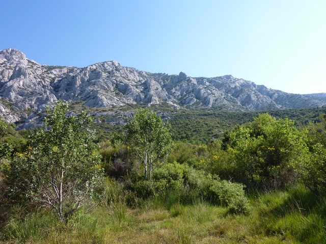 la nature avec la montagne Sainte Victoire