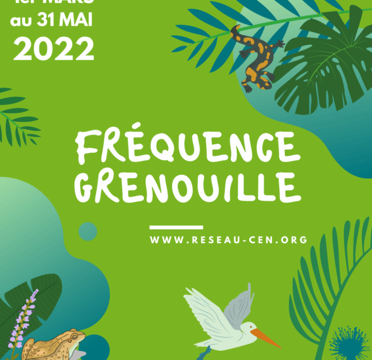 Fréquence grenouille est de retour