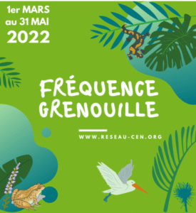 Fréquence grenouille est de retour