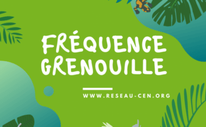 Fréquence grenouille est de retour