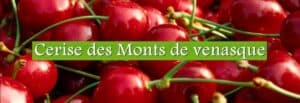 20776493_335963786862951_6517417450798128775_o Bleu Tomate