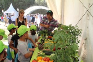 Au Salon, les enfants apprennent les clefs d'une alimentation saine Le Village des producteurs est un marché géant d'une centaine de stands De quoi faire des emplettes colorées © Salon des Agricultures de Provence Bleu Tomate