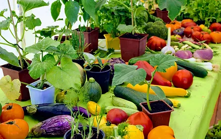 produits locaux au salon des agris de Provence