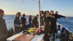 Bachelor gestion et protection du milieu marin ©Bachelor GPMM Bleu Tomate