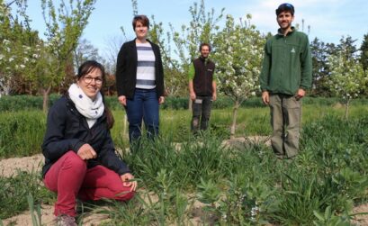 les terres agricoles de la ferme de la Durette à Avignon