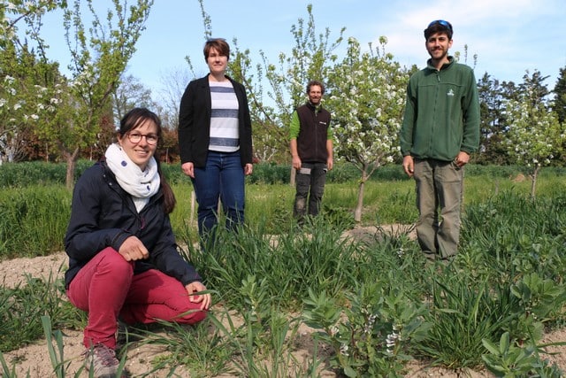 les terres agricoles de la ferme de la Durette à Avignon