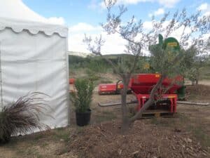 machine et Alpilles Bleu Tomate