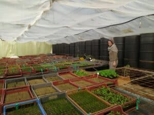 SERRE BIOCLIM Bleu Tomate