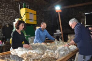 Le tri de laine, première étape après la tonte © Maison de la Transhumance Patrick (1) Bleu Tomate le mag