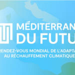 Méditerranée du Futur