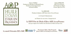 Invitation Fete HO Aix 2022 Bleu Tomate