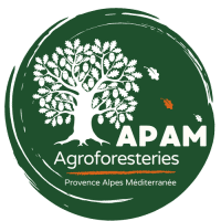 logo APAM