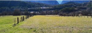 ferme élevage à Sallagriffon pro-climat