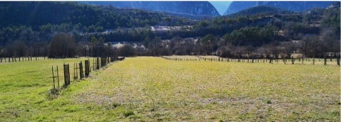 ferme élevage à Sallagriffon pro-climat