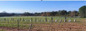 ferme bio-climat à Vidauban