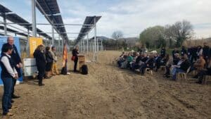 Au service de la cerise, l'ombre de l'agrivoltaïsme