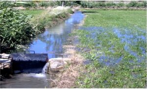 la Crau et l'irrigation gravitaire