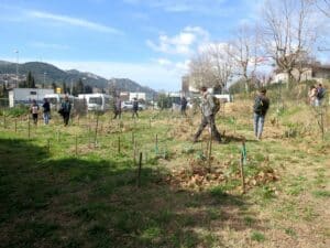 le GRAIN jardin visite Bleu Tomate le mag