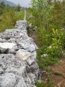 Ventoux le mur de la peste