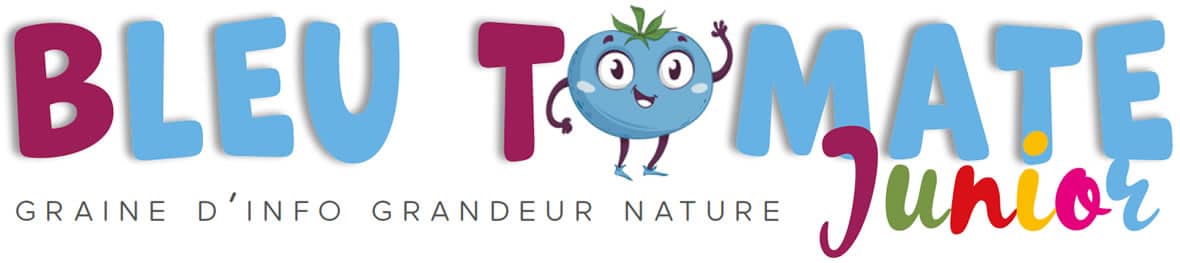 Bleu Tomate Junior