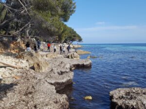 Le projet Calypso se décline sur le terrain, au plus près de la Méditerranée et en laboratoire, pour poursuivre les recherches @Région Sud Bleu Tomate le mag