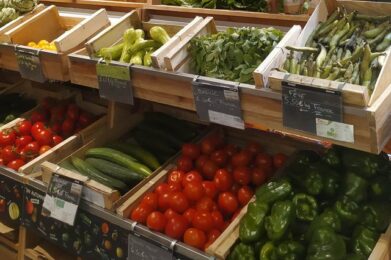 La biodiversité en point de mire