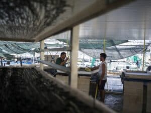 coopératives la Spiruline du Soleil