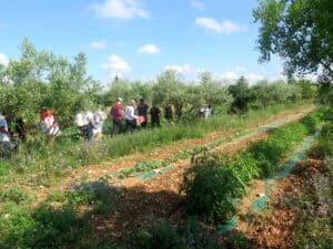 avec le PNR Ventoux, les élèves découvrent l'agriculture