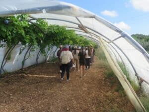 PNR Ventoux et visite de collégiens dans une ferme agroforestière