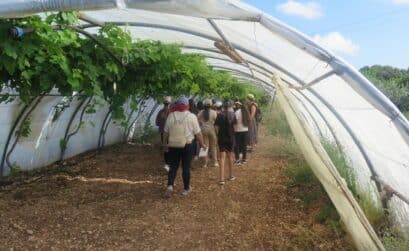 PNR Ventoux et visite de collégiens dans une ferme agroforestière