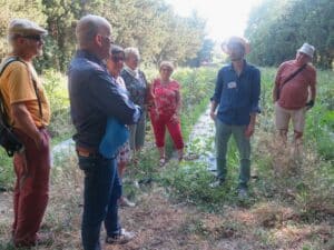visite de la ferme maraîchère Semailles