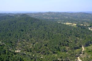 Le massif de la Montagnette printemps 2022
