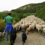 Barcelonnette accueille la SERAM en 2023