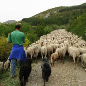 Barcelonnette accueille la SERAM en 2023