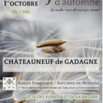 Jardin d'automne 7e édition