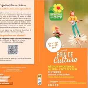 Brin de culture 2023