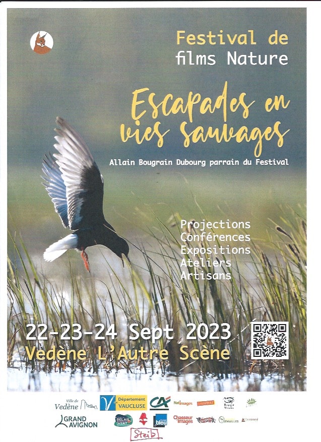 1er Festival de films nature : Escapades en vie sauvage Bleu Tomate le mag