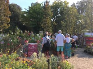 Jardin d'automne 6e édition