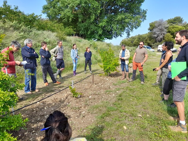 Rencontre technique pour les producteurs de grenades