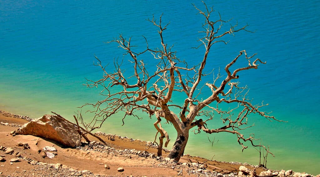 La Méditerranée face aux chocs climatiques : insécurités, conflits, adaptations Bleu Tomate
