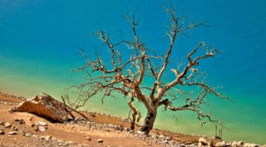 Changement climatique Bleu Tomate le mag