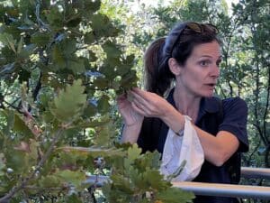Elena explique les maladies sur les feuilles crédit CNRS Bleu Tomate le mag