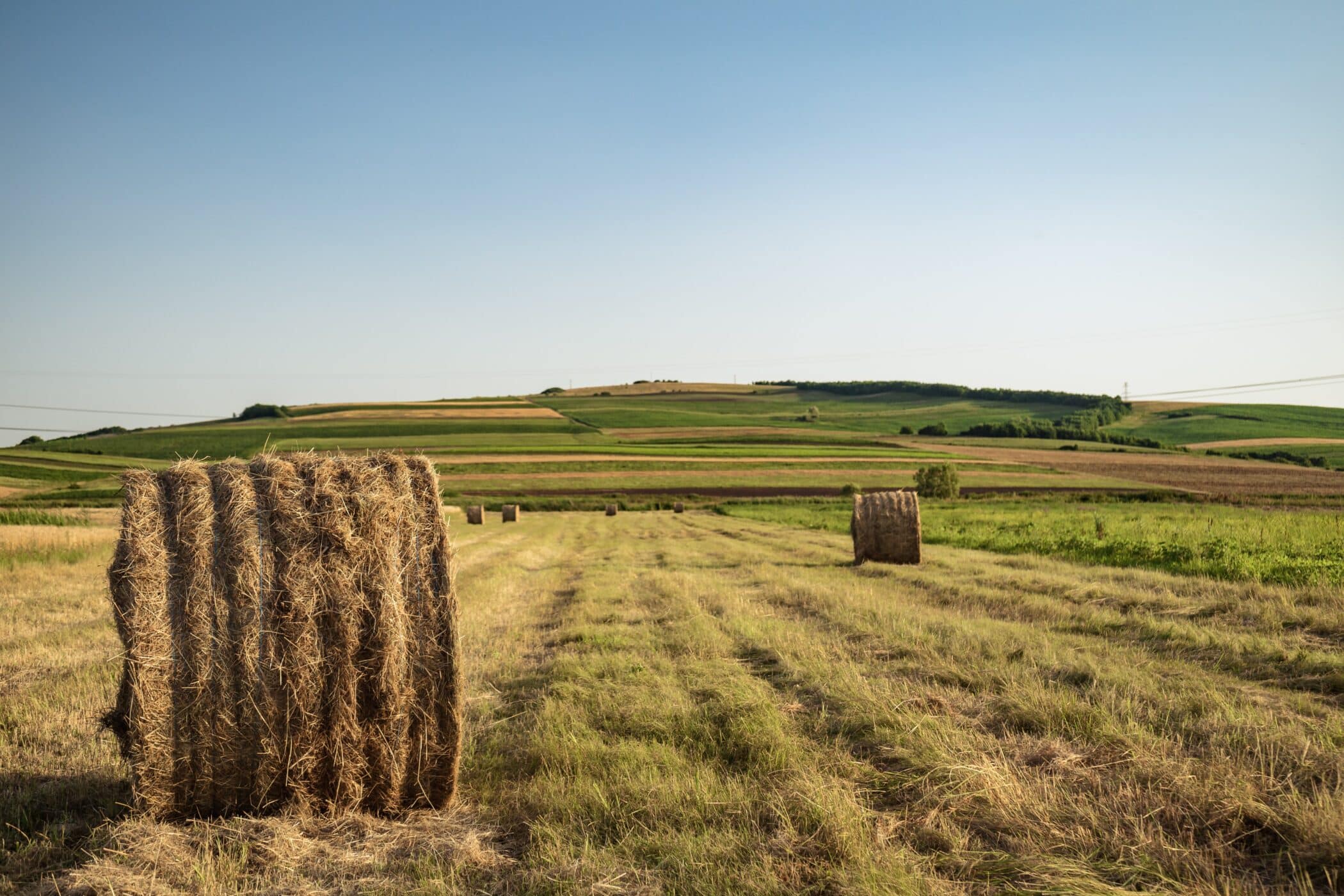 Elus de la région PACA : invitation à comprendre « le rôle des collectivités dans le maintien et le développement des productions agricoles nourricières » Bleu Tomate le mag